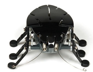 Hexbug Robot Toy wins at Toy Fair!