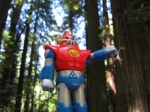 Robot Toys Around the World