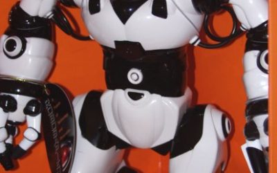 Robosapien Wow wee