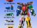 Pirates Union Gokaio DX Megazord