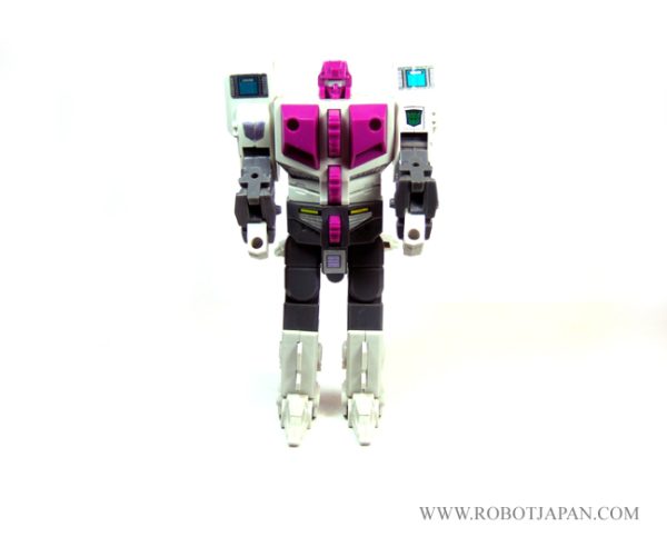 Hun-Grrr - Terrorcons G1
