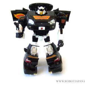 Ricochet Alternators-Binaltech