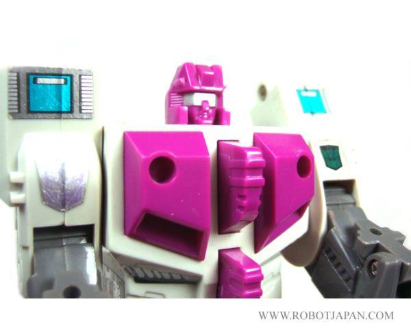 Hun-Grrr - Terrorcons G1 - Image 3