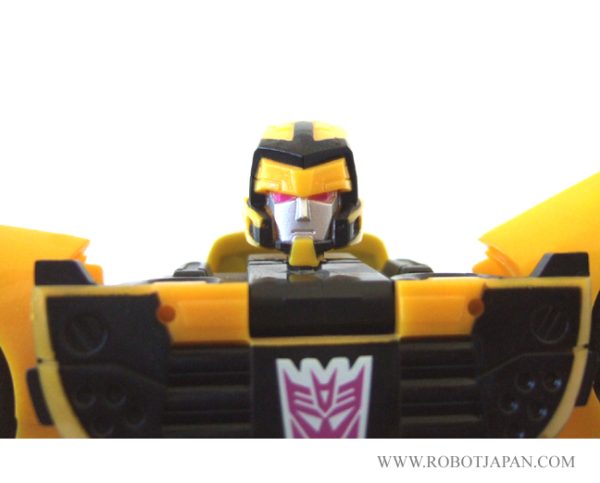 Decepticharge Alternators-Binaltech - Image 5