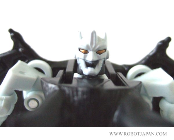 Onyx Primal Botcon '96 - Image 5