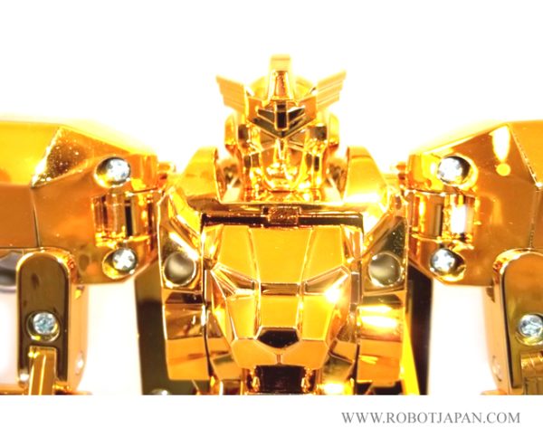 Exkaiser DX Lucky Draw Gold - Image 9