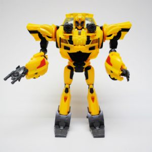 Bumblebee TP Leader Class