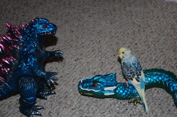Random Images - Image 32